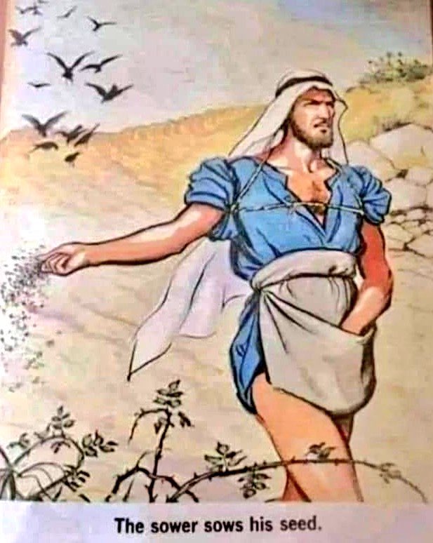 Slim Thicc tweet media