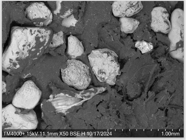 Jon Beves tweet media