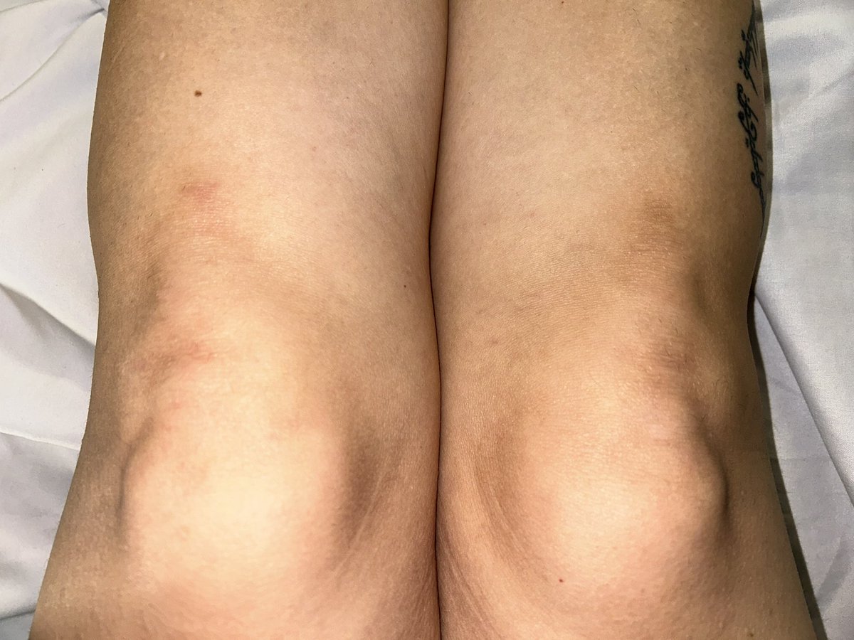 MelissaANathan's tweet image. I hope my knees last through the two week extension. Oof.
(and yes, I do wear knee pads when up in the grid; I’ve already gone through two pairs)

#stagemanagerlife
#godspell
#inapool
#godspool
#flintrepertorytheatre