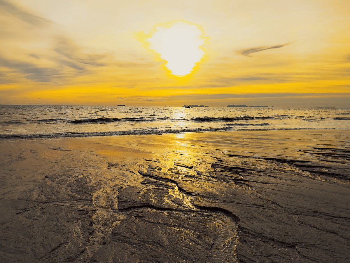 #thalassophile : Un amoureux de la mer, quelqu'un qui aime la mer/l'océan.