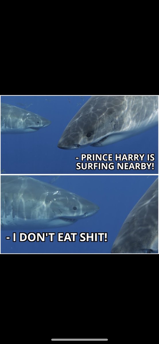 0Rthebest91033's tweet photo. #HowEmbarrassingHarryAndMeghan #HouseOfCardsAreComingDown #HarryIsNOTAVictim #PrinceHarryIsATraitor #PrinceHarryAKAPrinceShirley #PrinceHarryIsAPatheticLittlePrick #PrinceHarryCantBeTrusted #HarryIsAnAngryManChild https://t.co/aPPnKBUCJA