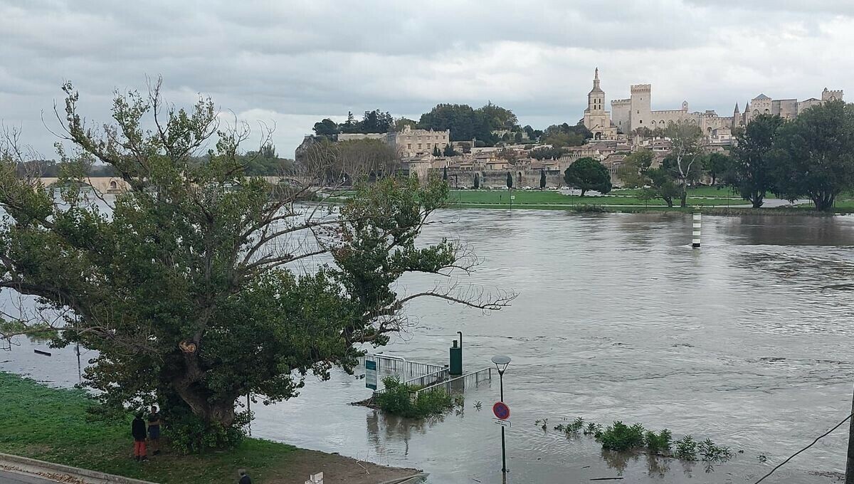 icivaucluse's tweet image. Le Rhône a atteint son pic à Avignon, plusieurs axes restent fermés à la circulation
➡️ l.francebleu.fr/qEBO