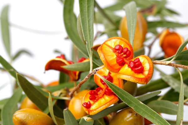 Professor Nick Klomp tweet media