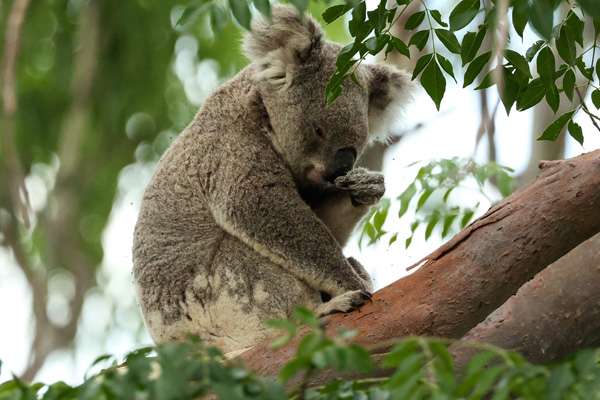 Professor Nick Klomp tweet media