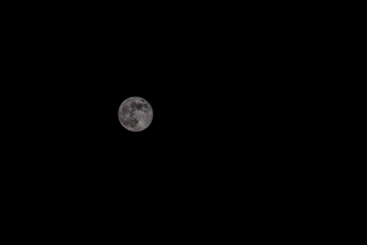 760Diego's tweet photo. #huntermoon 🌕 https://t.co/1Vm7aVwkyF