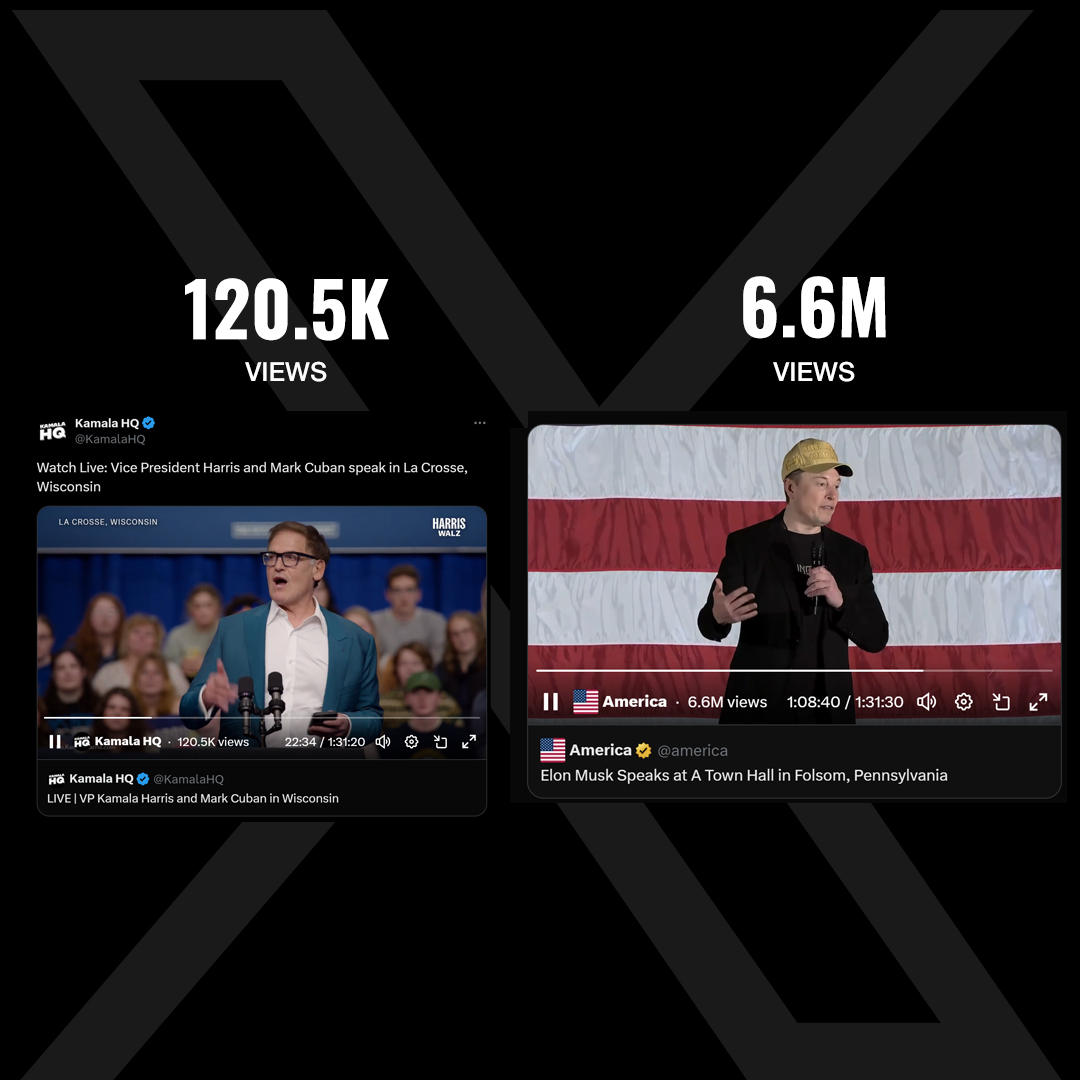 DogeDesigner tweet media