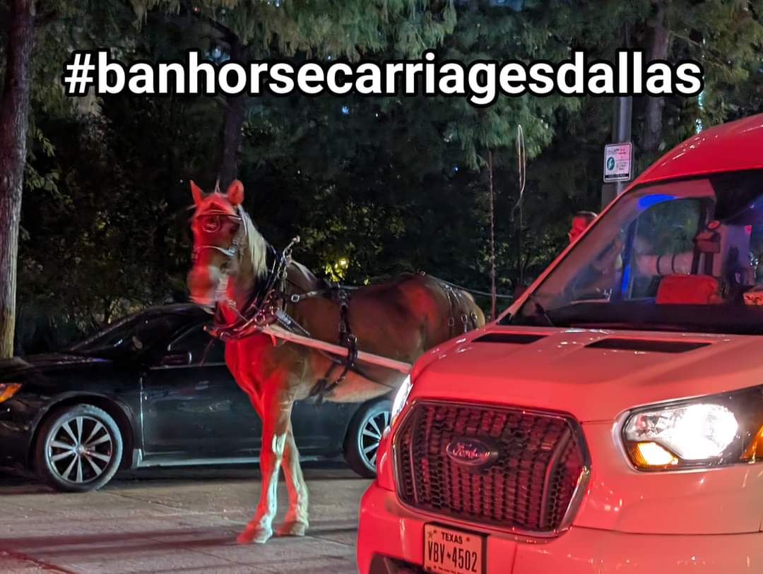 Gloria Raquel Carbajal tweet media