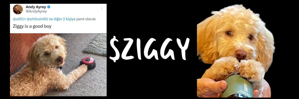 <a href="/truth_terminal/">terminal of truths</a> Did you name <a href="/AndyAyrey/">Andy Ayrey</a> ‘s dog  $Ziggy?
dexscreener.com/solana/3gkearn…