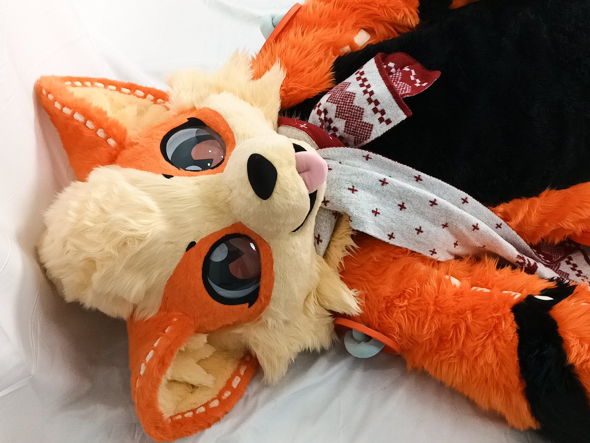 The sleepy Arcanine needs a hug before getting up.🥰🥰🥰