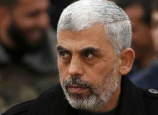 yespunjab's tweet photo. From Arabic studies graduate to chief architect of Oct 7 Hamas attack: All about Yahya Sinwar
https://t.co/dUt94uJOiP

#Hamas #YahyaSinwar #IsraelDefenseForces #GazaStrip #Terrorism #MiddleEastConflict #IDF #OCT7attack https://t.co/JPdhYKmOl5