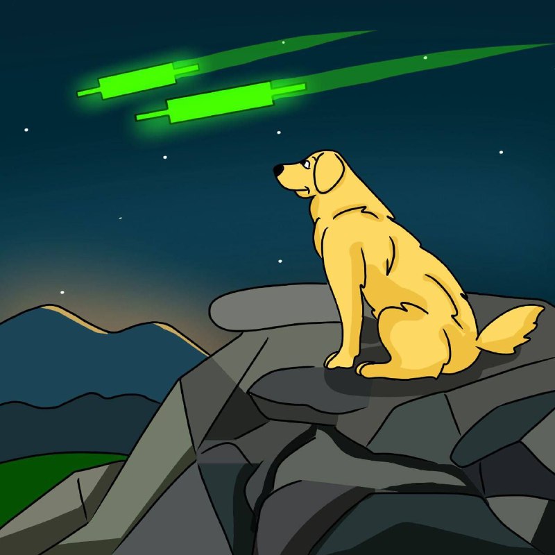 GoHigherCrypt tweet picture