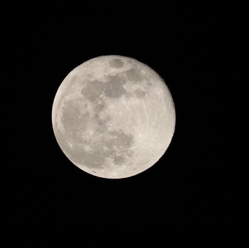 JoseAMeadeK's tweet photo. Hoy la luna está más o menos 27,000 km más cerca que en promedio. 
Se ve espectacular! https://t.co/fkKA69Ggbx