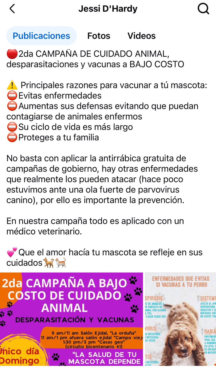 ANGIE COLUNGA tweet media