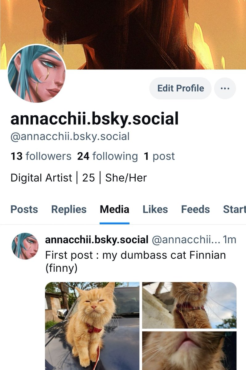 annacchii moved to bsky 🦋🦋🦋 tweet media