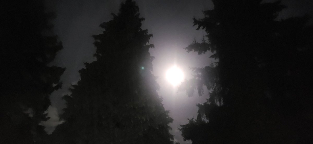 LF_Carpenter08's tweet image. This is the moon right now. It is SO Bright .. ! Super Lit Up ... #moon #SObright #wa #washington #WhatIsHappening #beautiful #nature #universe #space #science #abnormal