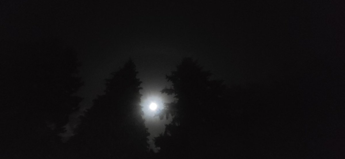 LF_Carpenter08's tweet image. This is the moon right now. It is SO Bright .. ! Super Lit Up ... #moon #SObright #wa #washington #WhatIsHappening #beautiful #nature #universe #space #science #abnormal