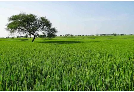 Homes_Ind_mag's tweet image. Dolo-650 manufacturer 'Micro Labs' buys 3-acre land in Bengaluru for Rs. 111 crore

Read More: qrcd.org/74y8

@PropstackIndia
@ManipalHealth

#MicroLabs #agriculturalproperty #pharmaceuticalcompanies #hospitalproperty