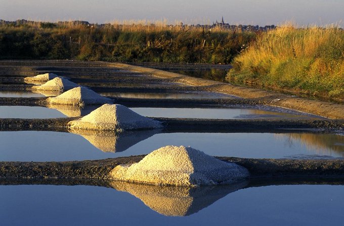 Gsterre's tweet photo. Superbe vue sur des Marais Salants de #Guérande #BatzSurMer #LoireAtlantique ma #Bretagne #Bretagne5sur5 #44Bzh #MagnifiqueFrance https://t.co/t1MRQlCqAF