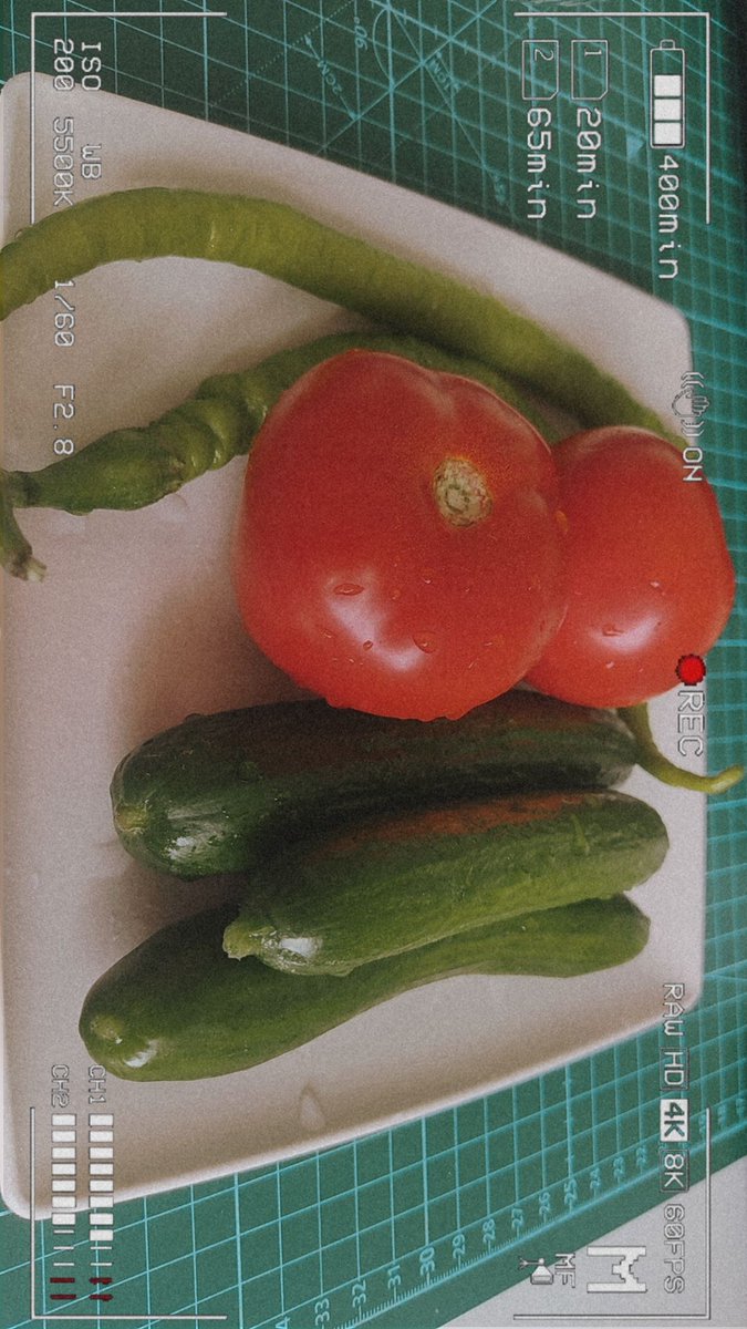 mera_xw's tweet photo. Studying at the Faculty of Architecture+ Living in a dormitory + trying to eat healthy = perfect person https://t.co/KB7DEo5Rvl