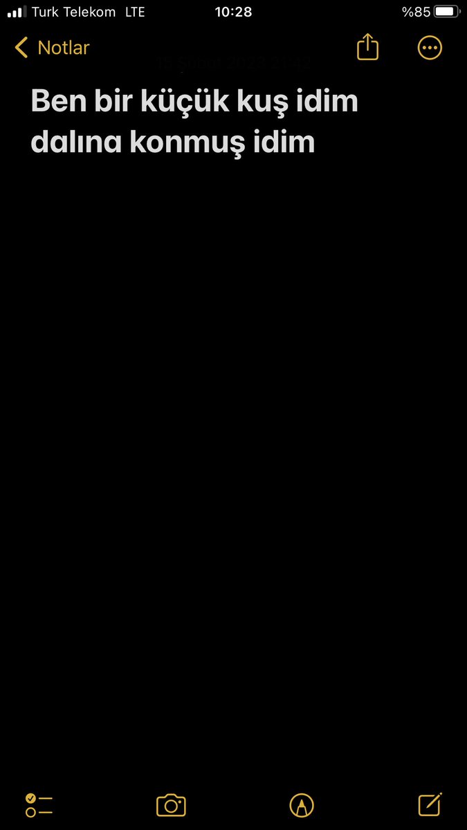 2023’te bu notu notlar kısmına hangi kafa ile yazdım acaba ?