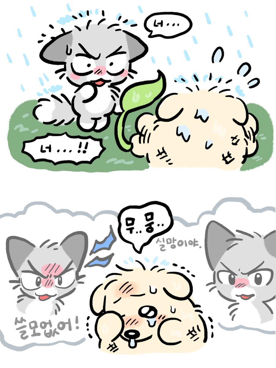 비가 쏟아져요🌧️ (4) 