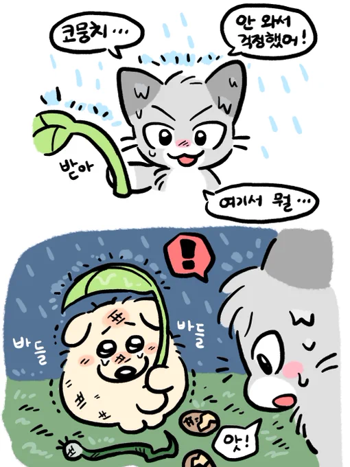 비가 쏟아져요🌧️ (4) 