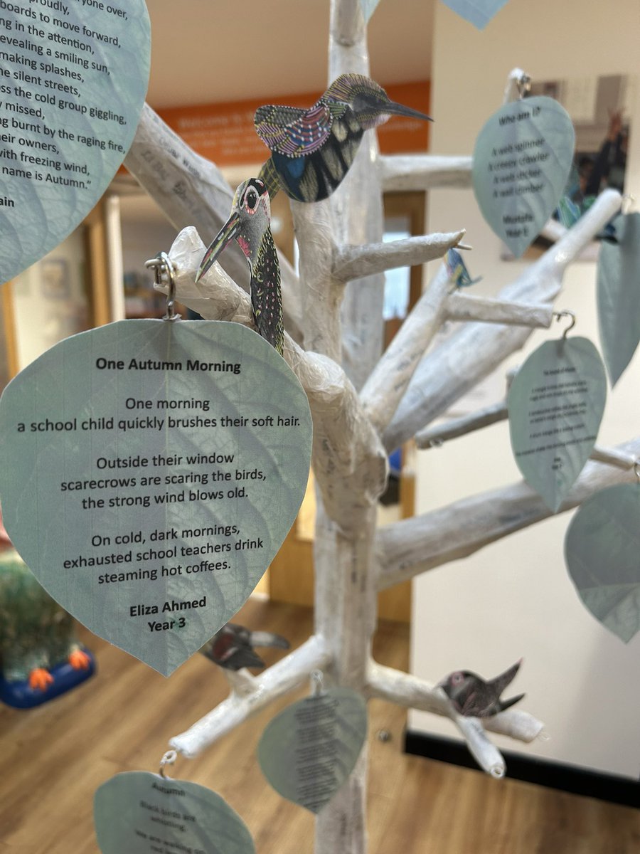 Andrew Tims tweet media