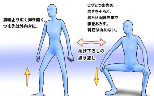 バキバキで何回戦も戦えて持久力を伸ばしたいならスクワットをしろ！！！