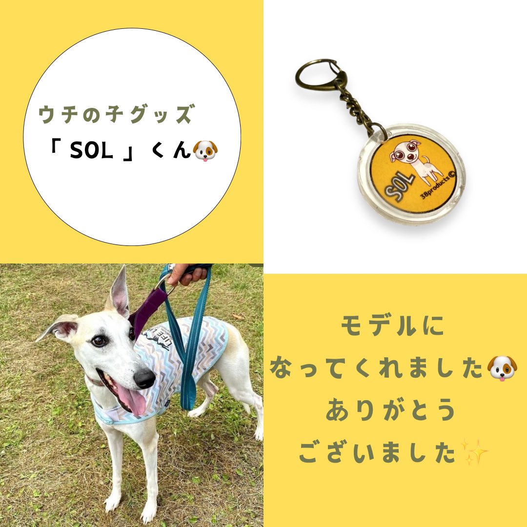 38Products's tweet photo. ウチの子シリーズ🐶
SOL くん✨
クマハチくん✨

明日、明後日、 #ハルナマルシェ です✨

少しSALEします👍

ドッググッズ¥2,000以上お買い上げで、限定数ですが、カボちゃんのチャームをプレゼント🎁

#38products #ウチの子グッズ #革財布 #革小物雑貨 #犬のいる暮らし #犬グッズ #うちの子グッズ https://t.co/SYI8OtvIL9