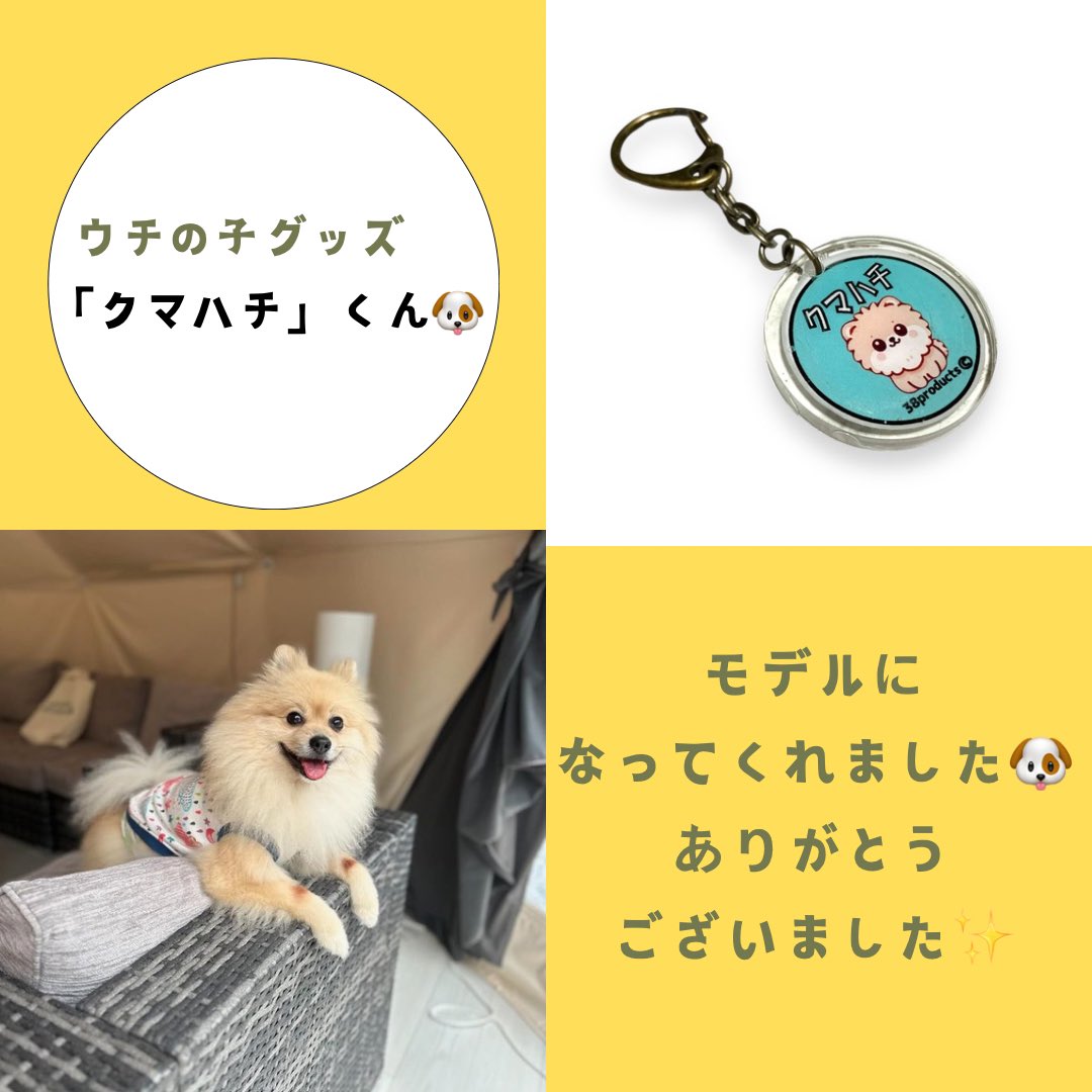 38Products's tweet photo. ウチの子シリーズ🐶
SOL くん✨
クマハチくん✨

明日、明後日、 #ハルナマルシェ です✨

少しSALEします👍

ドッググッズ¥2,000以上お買い上げで、限定数ですが、カボちゃんのチャームをプレゼント🎁

#38products #ウチの子グッズ #革財布 #革小物雑貨 #犬のいる暮らし #犬グッズ #うちの子グッズ https://t.co/SYI8OtvIL9