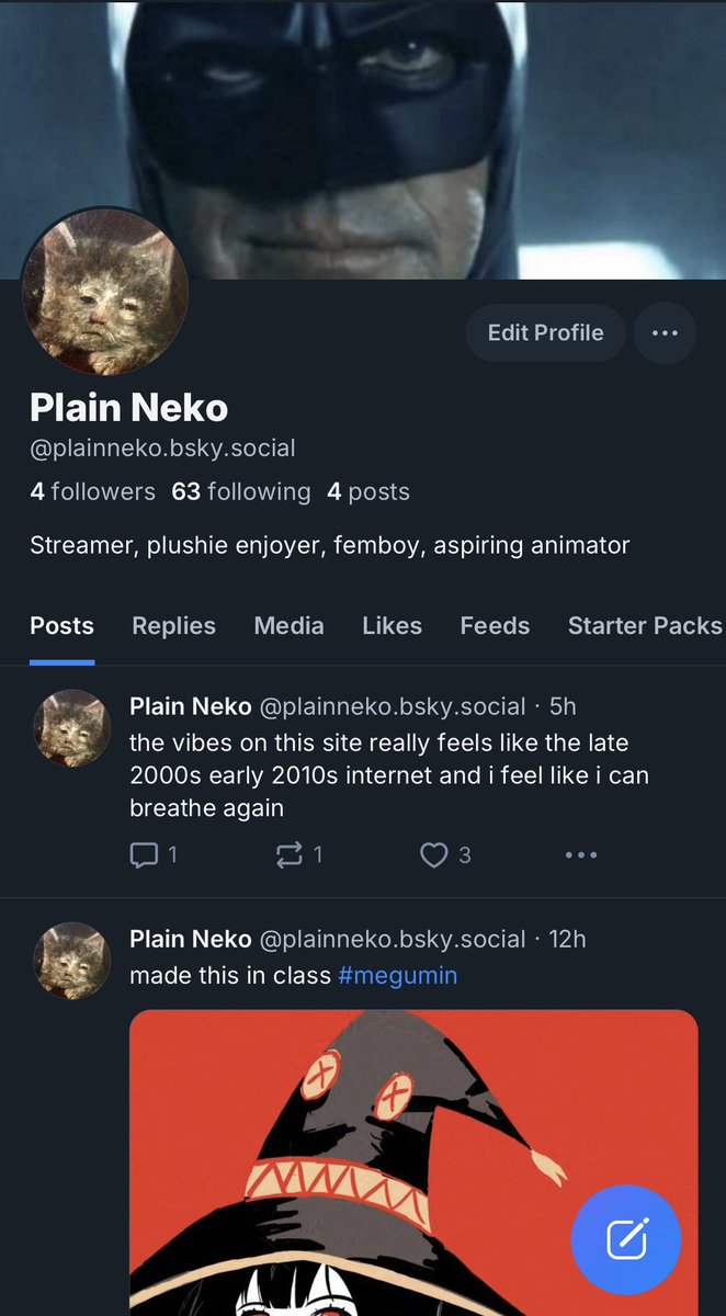 🔭 plane neko ~on break tweet media