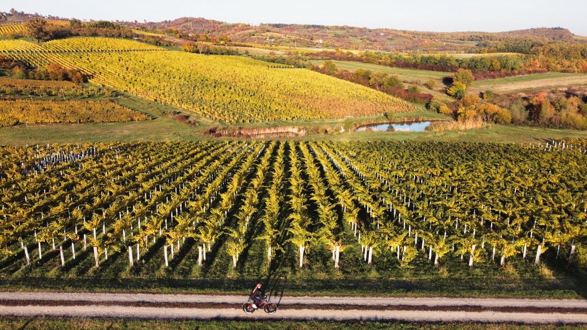 bikademy's tweet image. The #adventure is near... just a few #pedal strokes far away... 

What place will you explore this weekend?

#bicycle #cycling #travel