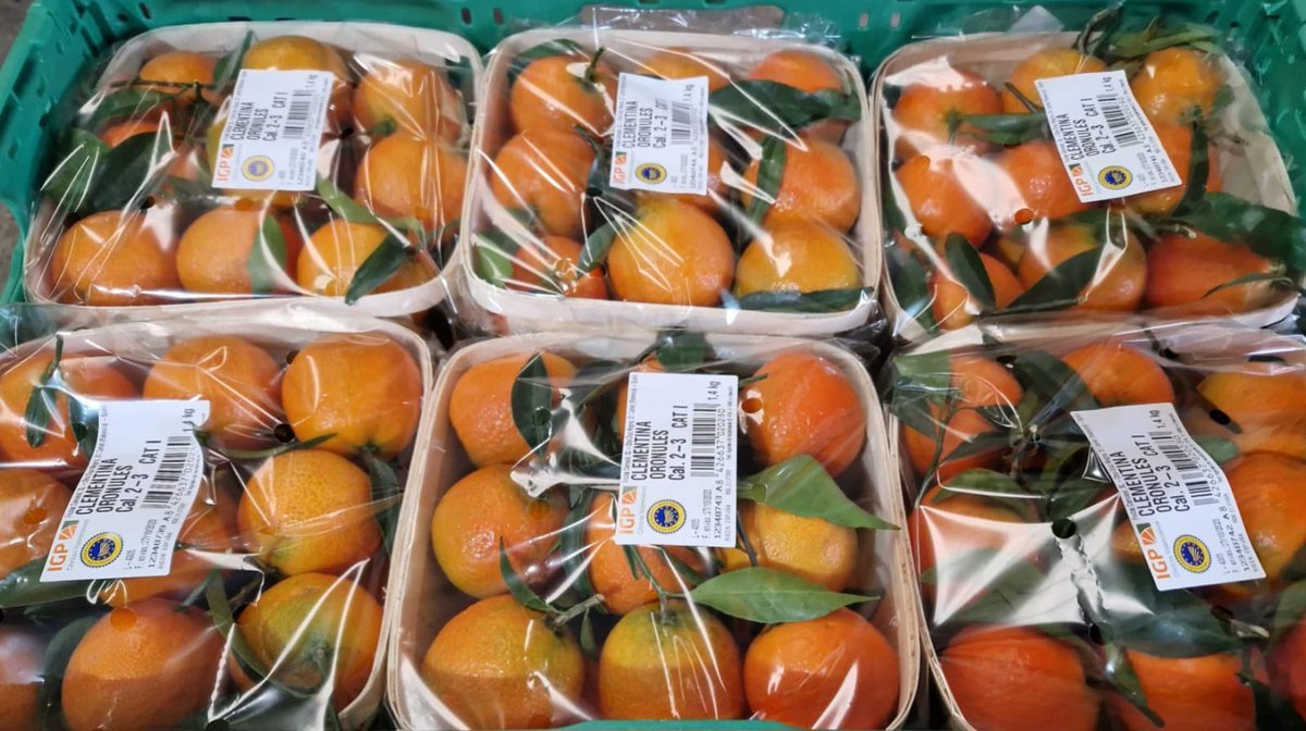 Nuestras primeras clementinas con el sello <a href="/Cvalencianos/">IGP Cítricos Valencianos</a> ya están  en las tiendas. Busca el distintivo del origen y la calidad  de los #Cítricos Valencianos.