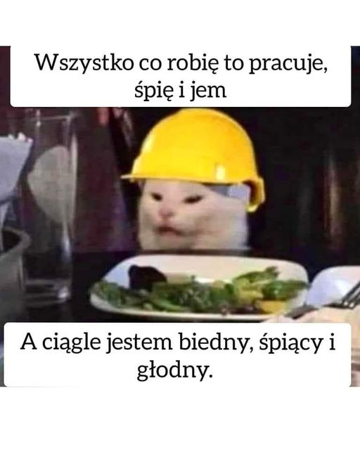 Płonąca Firanka tweet media
