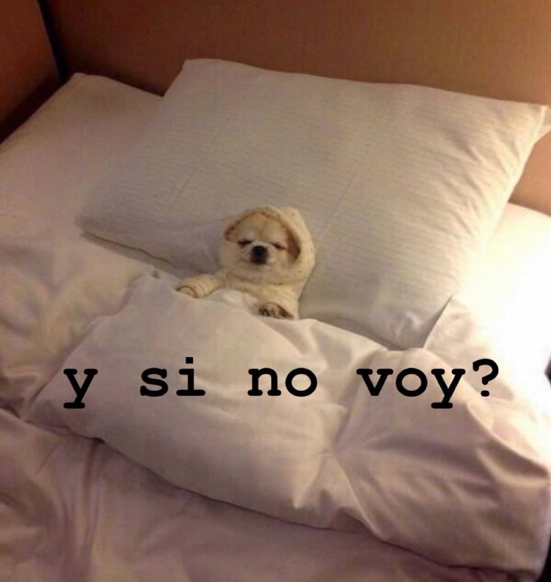 yo todas las mañanas cuando me suena la alarma