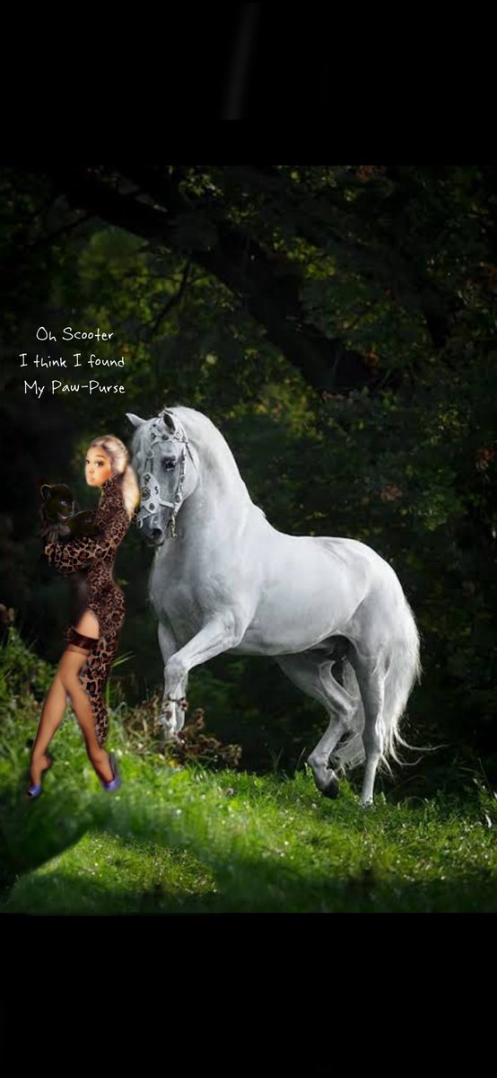 LeitootMoquette's tweet photo. it is what it is #Fickledom

 #BElegies u already know
U know that I do not TippyToe
Don’t u ever label me slow
Them cats don’t ever land on their toes
#BElegies u already know
  U call me Miss International
 My label LiL Miss Ethical
 { H is Silent }
don’t u ever step on #mytoes https://t.co/brkuvOnX1Y