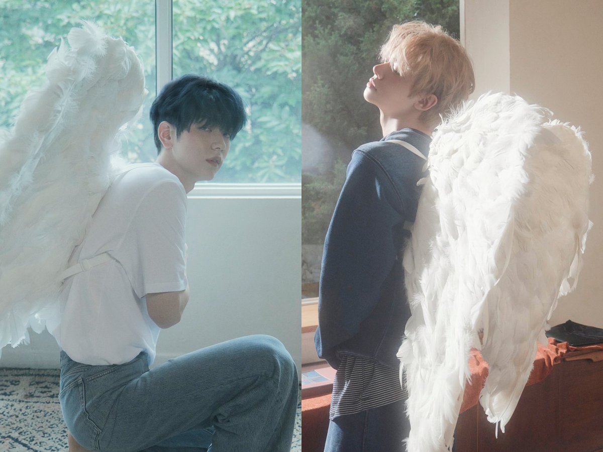 i knew this would happen... their wings are so sensitive, rubbing each other makes them high 🤒