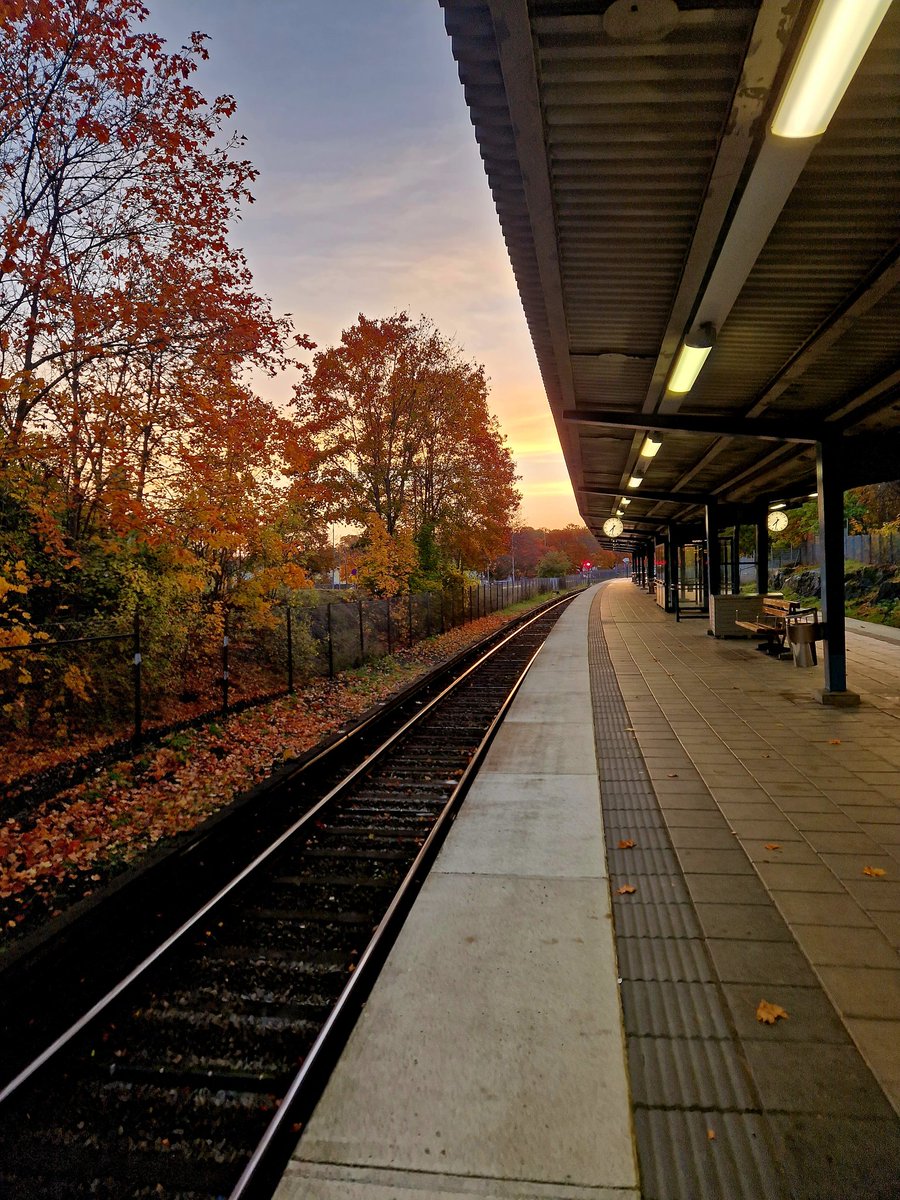 Caroline tweet media