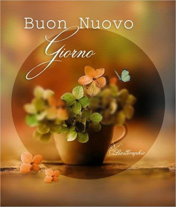 RITABIANCHi56 tweet media