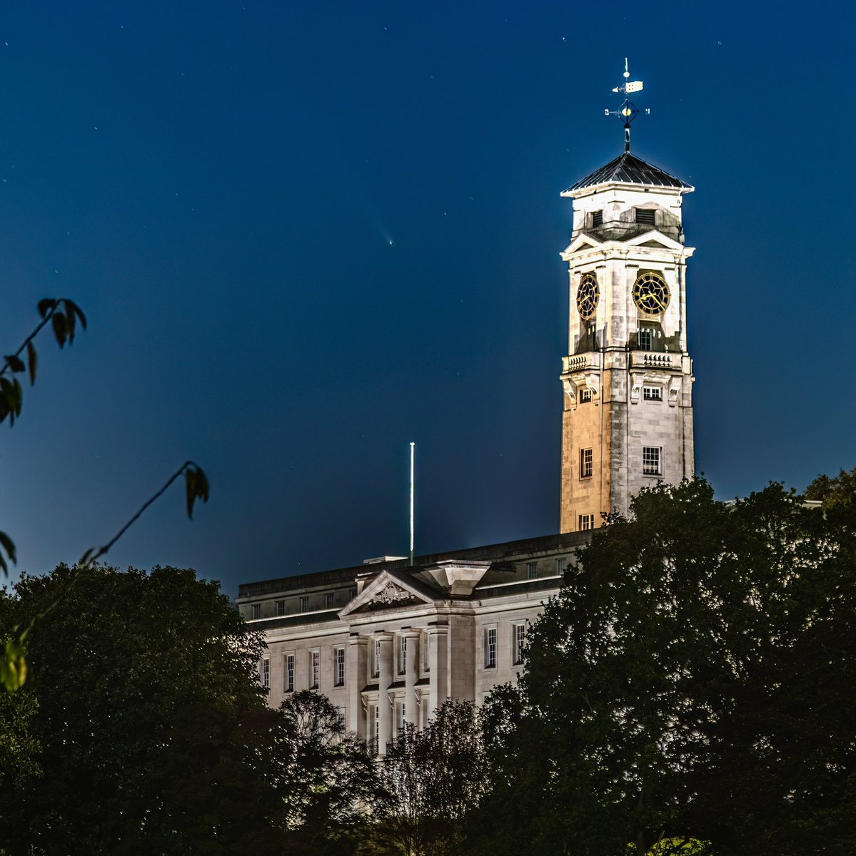 Chris Denning tweet media