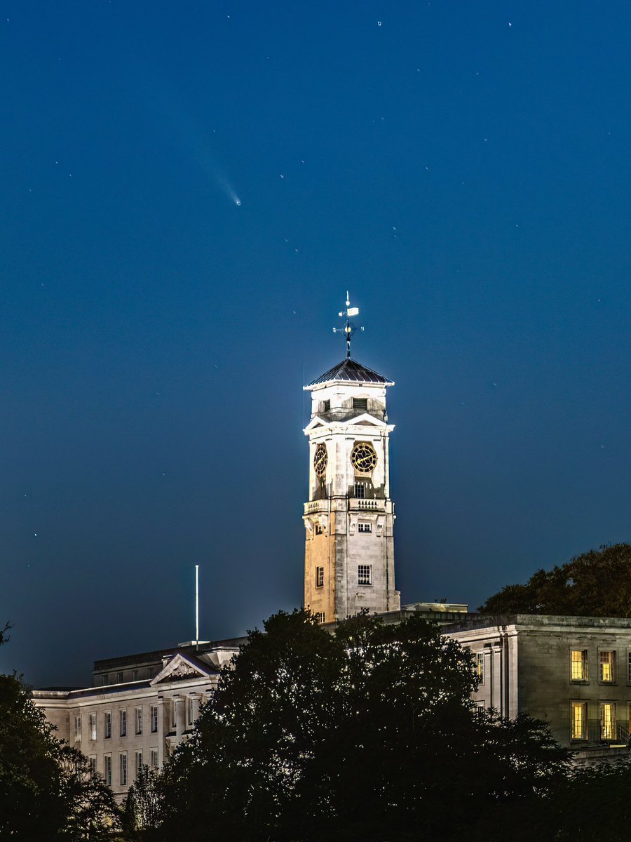 Chris Denning tweet media