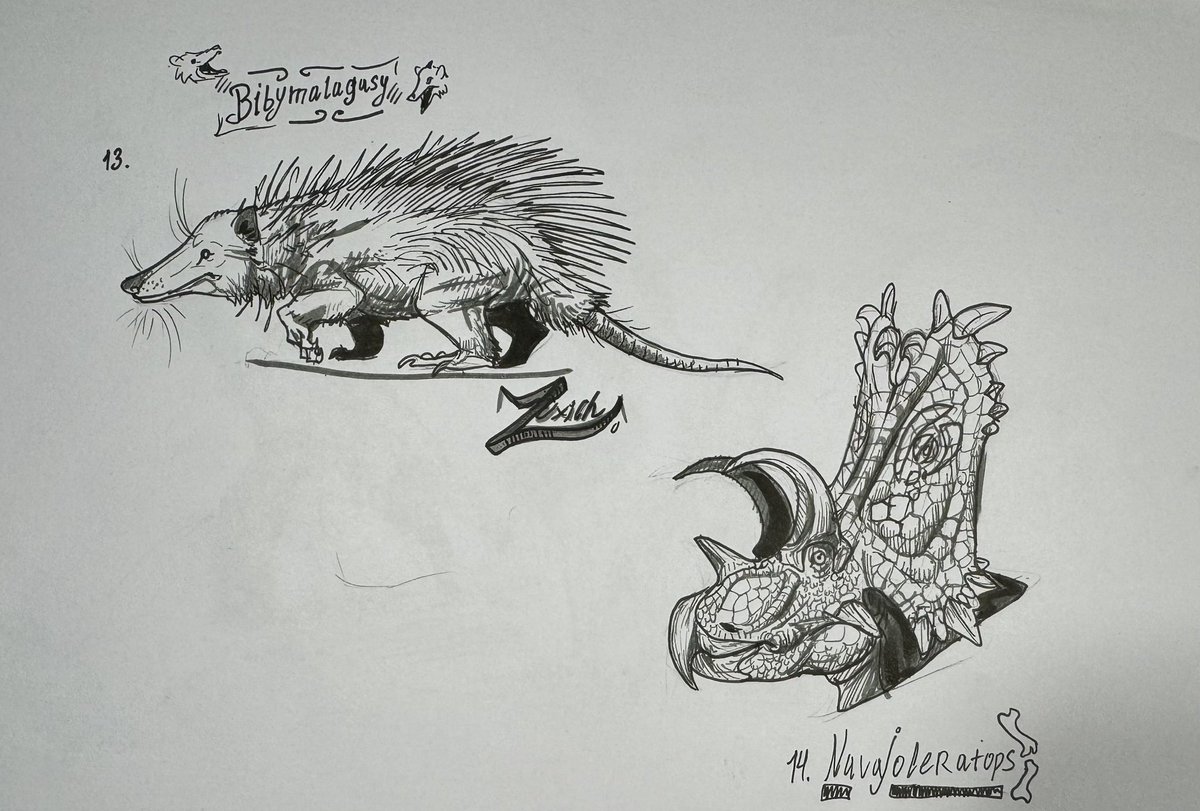 Mr.LeCroc tweet media