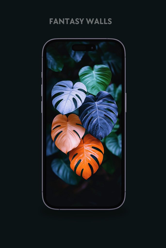 DFK022024's tweet image. 