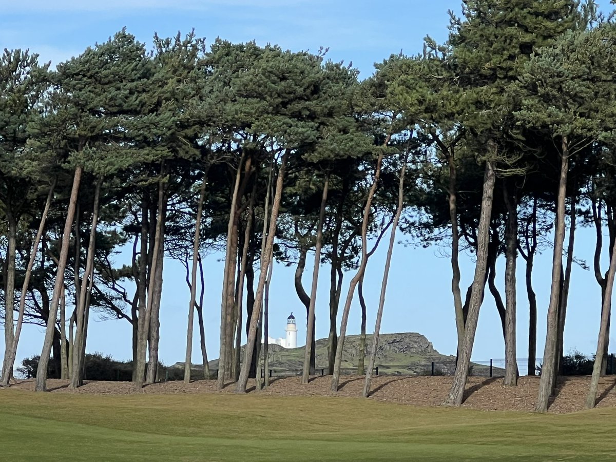 Steve Rigby tweet media