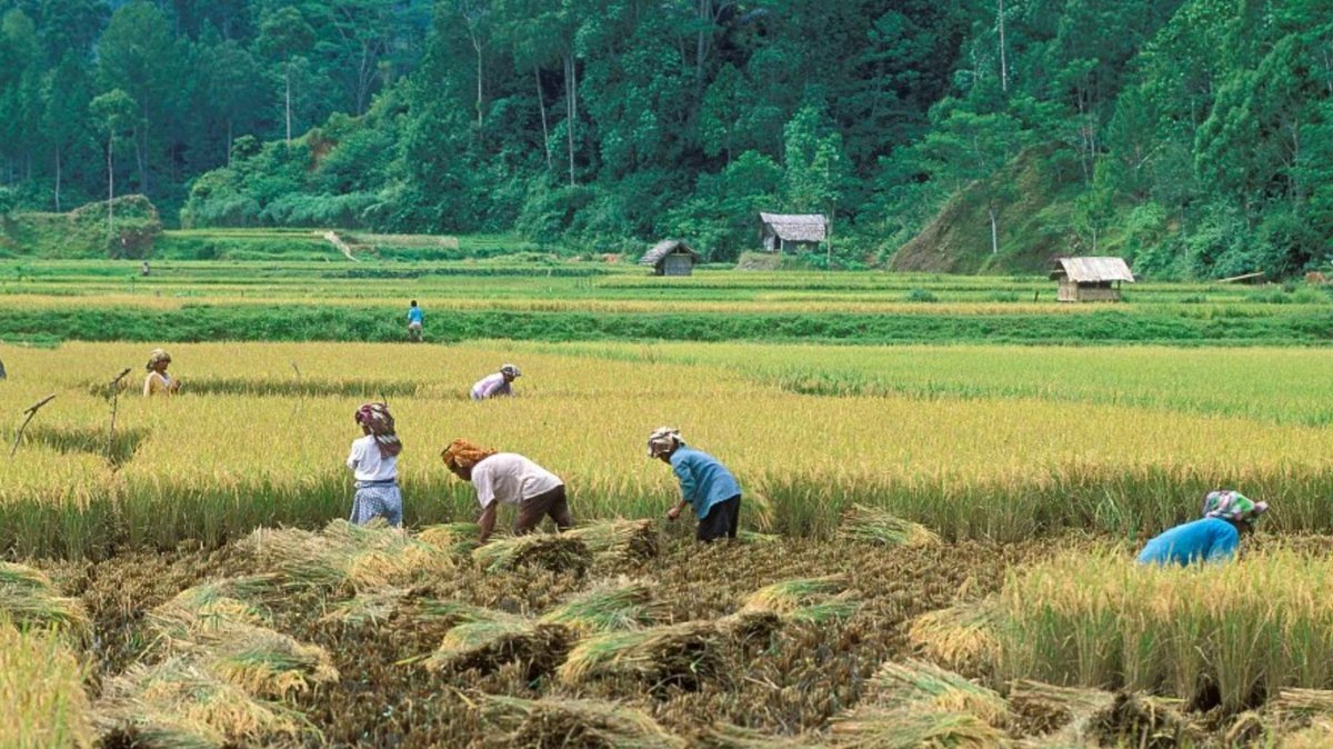 World Bank East Asia Pacific tweet media