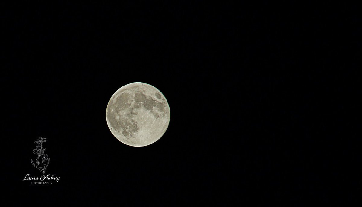 laura_aphoto's tweet photo. The full moon last night Hunters Moon 17/10/24
ISO 100 300mm f14 1/60s 
#moon #fullmoon #moonlover #huntersmoon #nightsky #lookup #astrophotography #moonphotography #beauty #nature #moonmagic #moonscape #moonlight #moonwatch #moonpics https://t.co/4O79LrC8cA