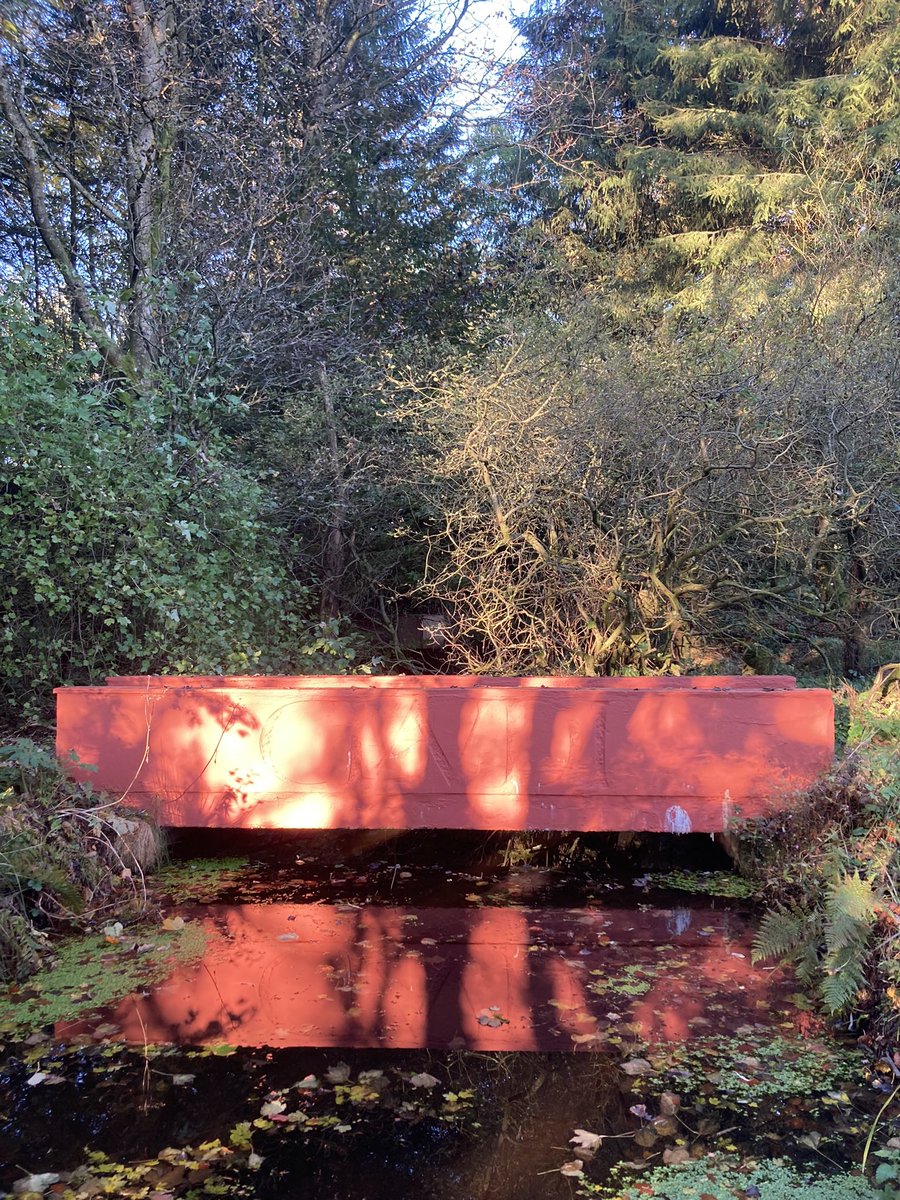 This week in the garden…. #littlesparta