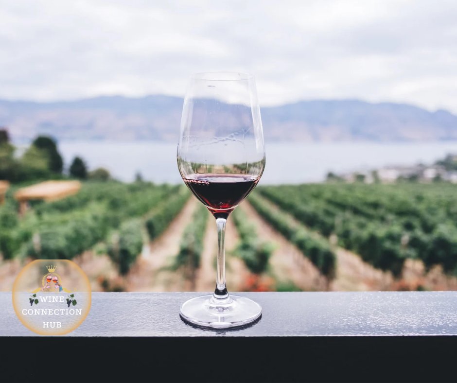 WineConnectionH's tweet photo. Discover the best wines from Portugal 🇵🇹! Indulge in exquisite selections from renowned regions like Douro and Alentejo. 🍷✨ Whether you crave a bold red or a refreshing white, we have it all! Contact us today to elevate your wine collection with the finest Portuguese offerings. https://t.co/0dMbZO3tyJ