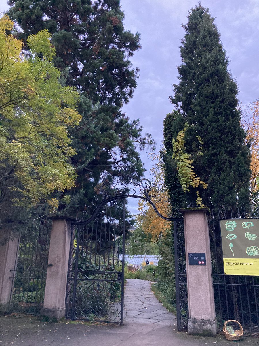 Willkommen!   Nächsten Sonntag.  20.10.2024  Pilzaustellung im Botanischen Garten der Universität Basel.