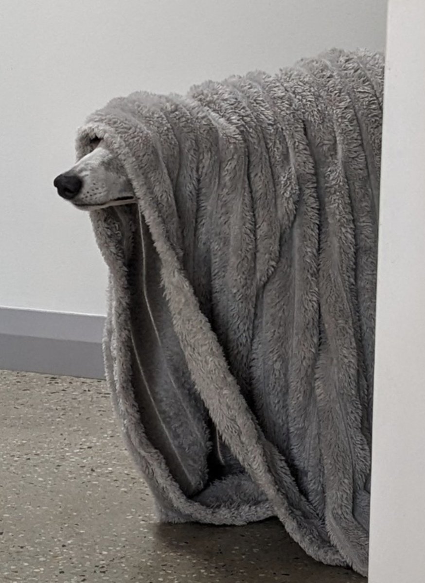 Vicar Amelia wants a word.